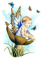 Fairy Baby-01